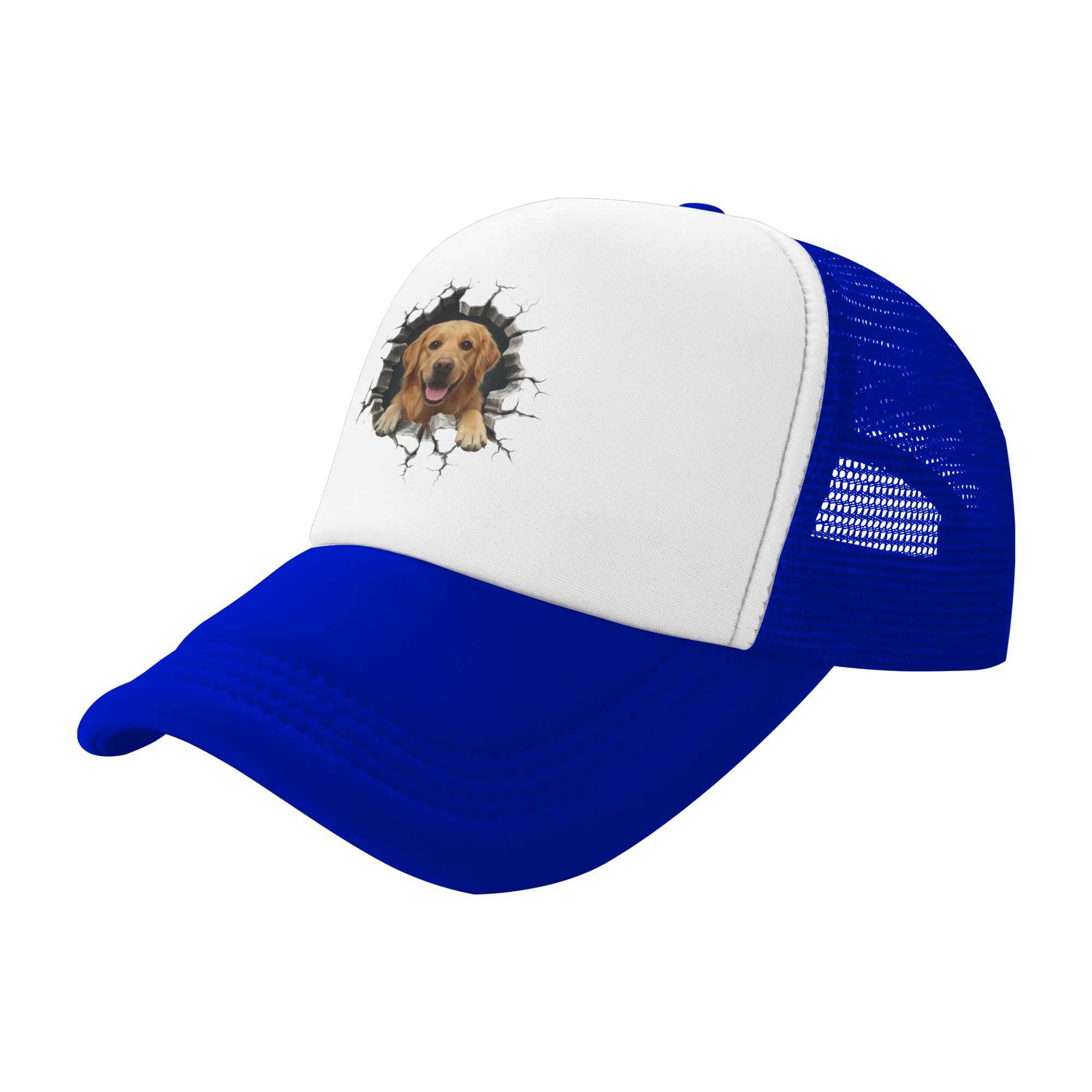 หมวกเบสบอลลายโกลเด้นรีทรีฟเวอร - Hat Snapback Cap บทวิจารณ์และราคา